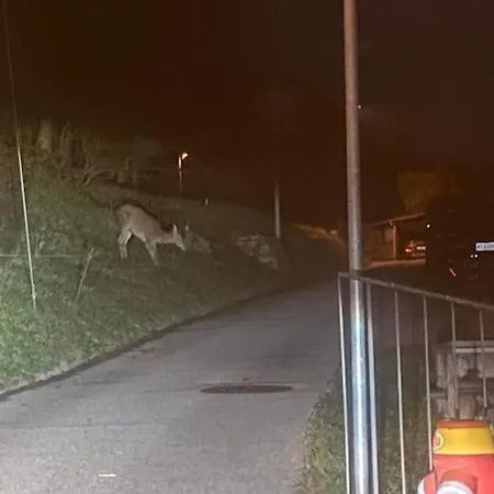 Διαμέρισμα La Perla Di Bre'